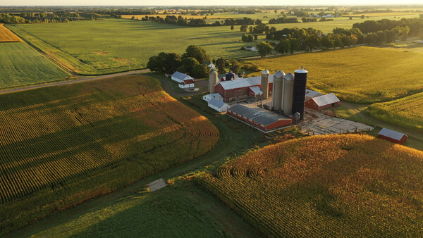 Agribusiness