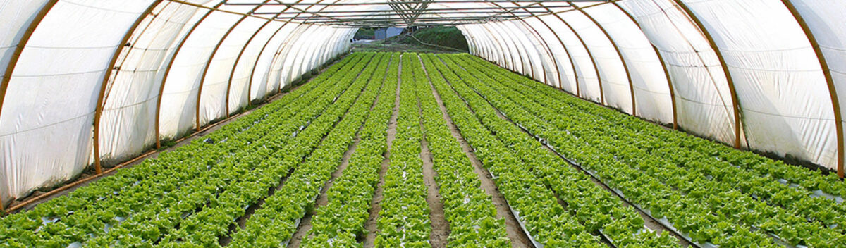 Great Lakes Crop Summit
